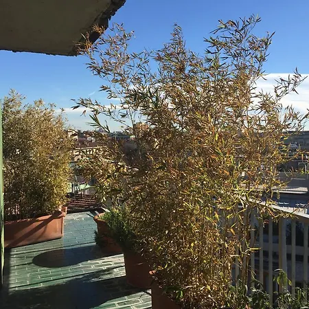Mita Life Roof Garden